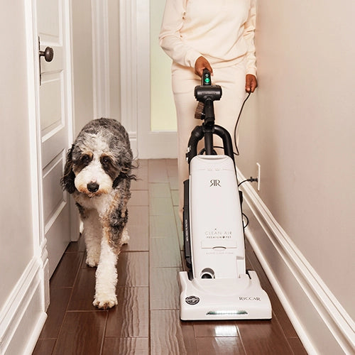 R27 Premium Pet Upright Vacuum